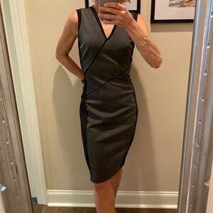 T Tahari Fully Lined Sheath Drezs